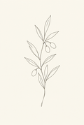 Olive Branch — Fine-Line Botanical Print