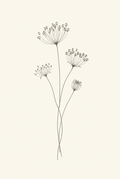Dried Seed Heads — Fine-Line Botanical Print