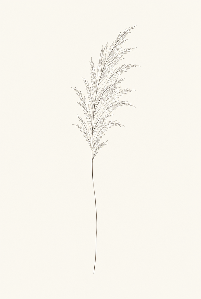 Pampas Grass Cushion Cover — Natural Cotton