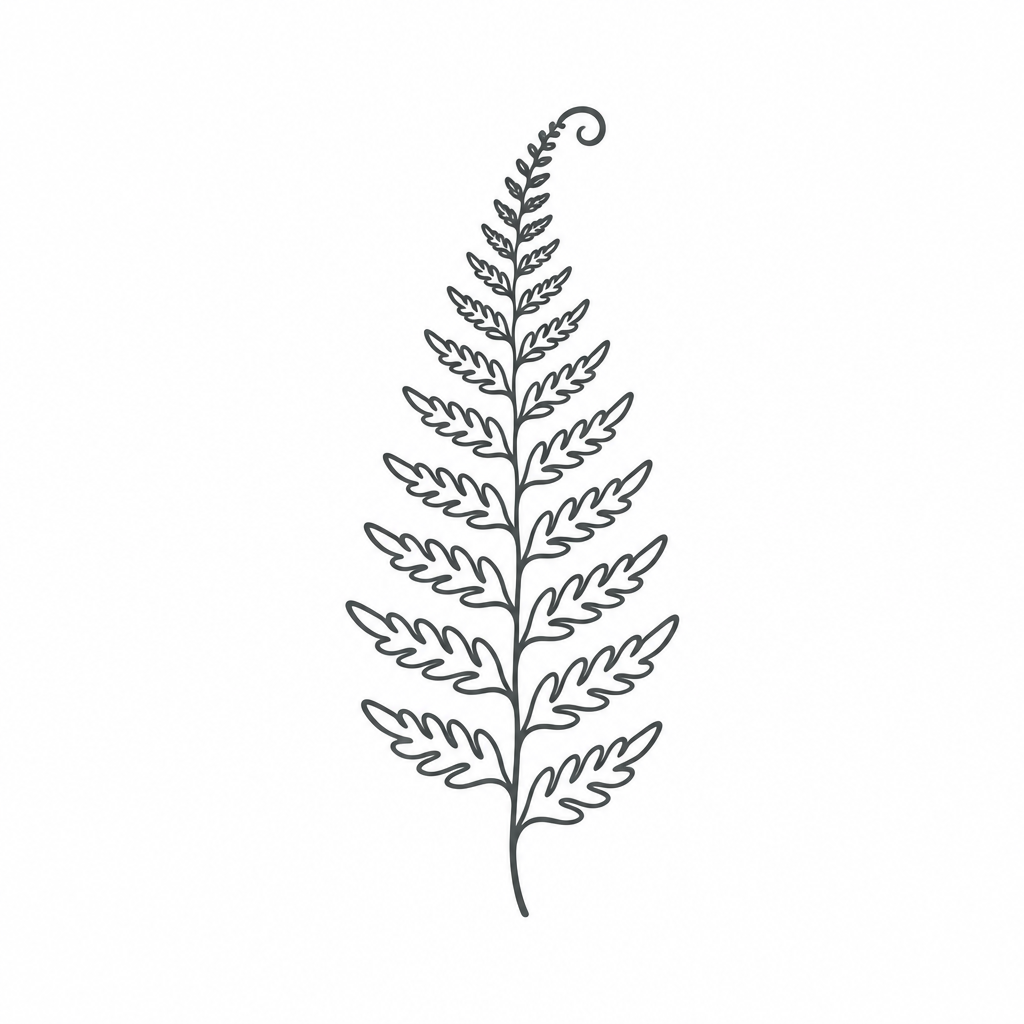 Fern Frond Organic Cotton Tee