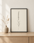 Lavender fine-line botanical print in a black frame