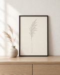 Pampas Grass fine-line botanical print in a black frame